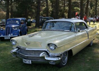 Engine and Transmission Check: Used Car Guide